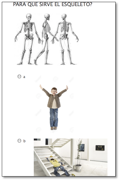picture7